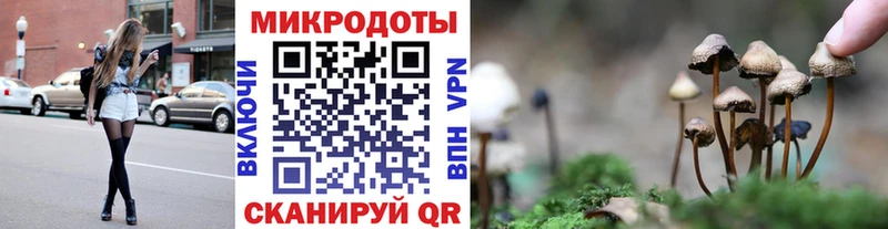 Купить  Нелидово  Галлюциногенные грибы Psilocybe 